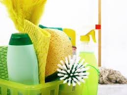 Pro cleaners Barking logo