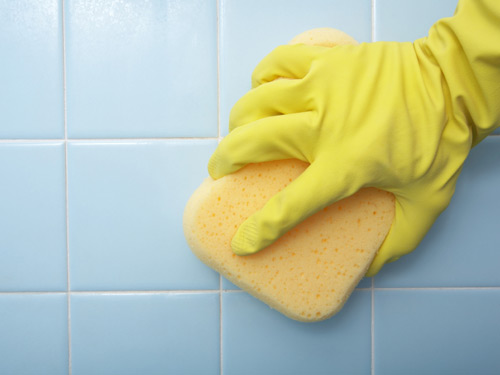 Carpet Cleaning Lewisham logo