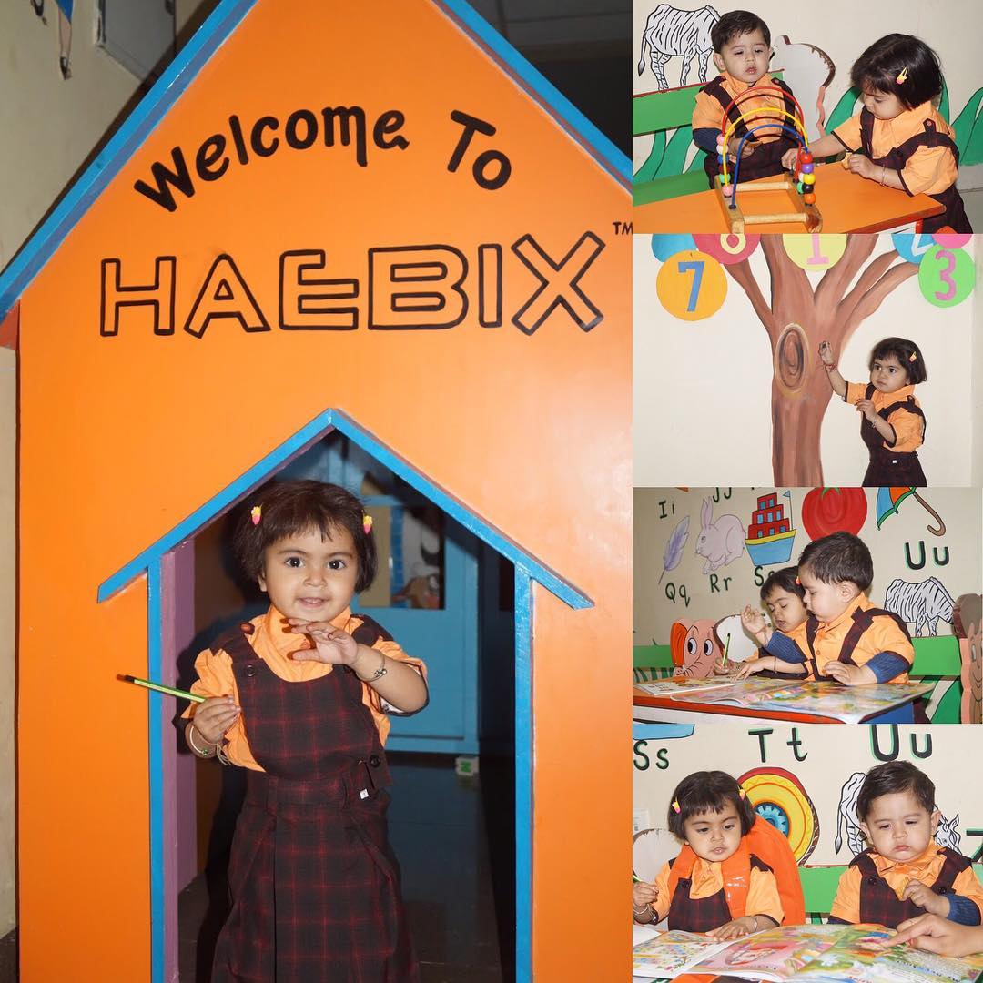 Haebix School logo