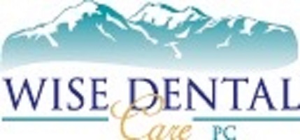 Wise Dental Care logo