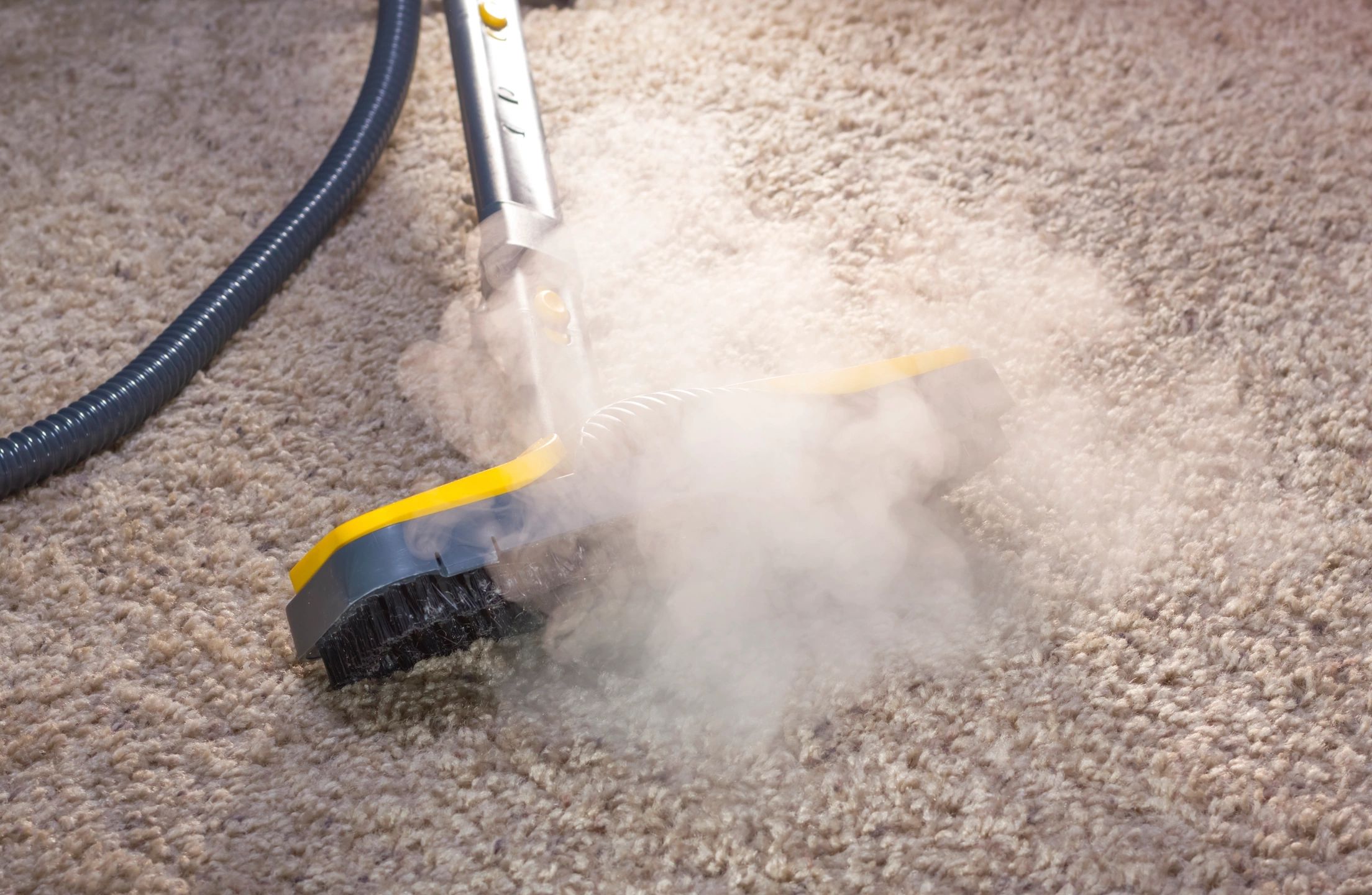 Scottsdale AZ Carpet Cleaner logo