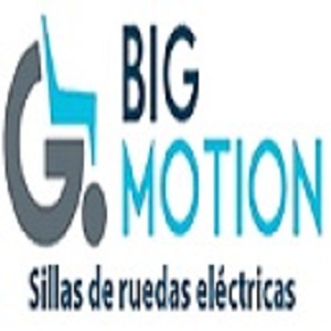 Bigmotion logo