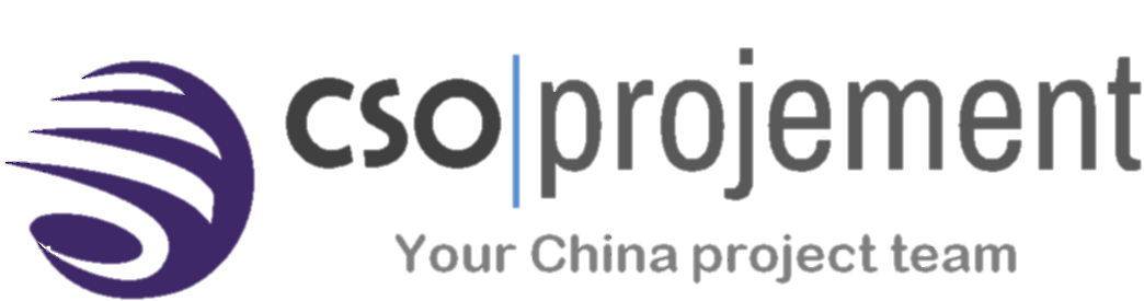 CSO Projement Ltd. logo