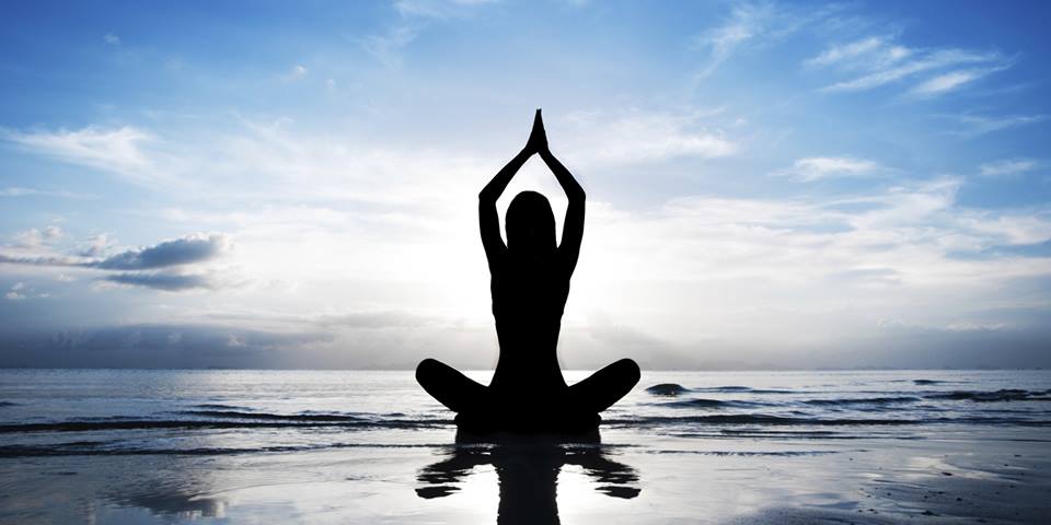 Whole Mind Strategies logo