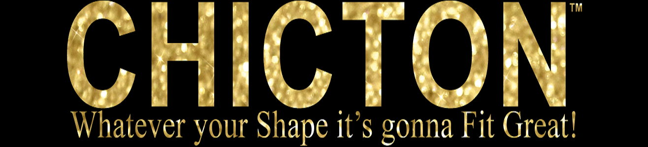 CHAZON STEIN INC logo