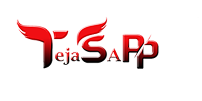 Tejas App International Pvt. Ltd. logo