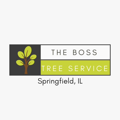 Boss Tree Service Springfield IL logo