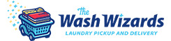 The Wash Wizards logo