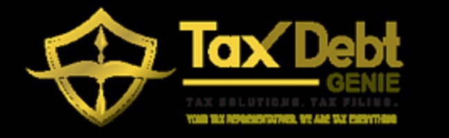 Tax Debt Genie logo