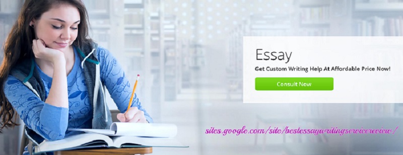 Essay Writing Services logo