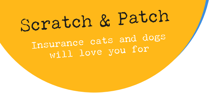 Scratch&Patch logo
