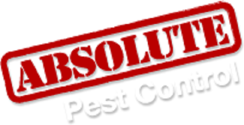 Absolute Pest Control INC logo