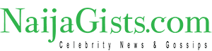 NaijaGists.com logo