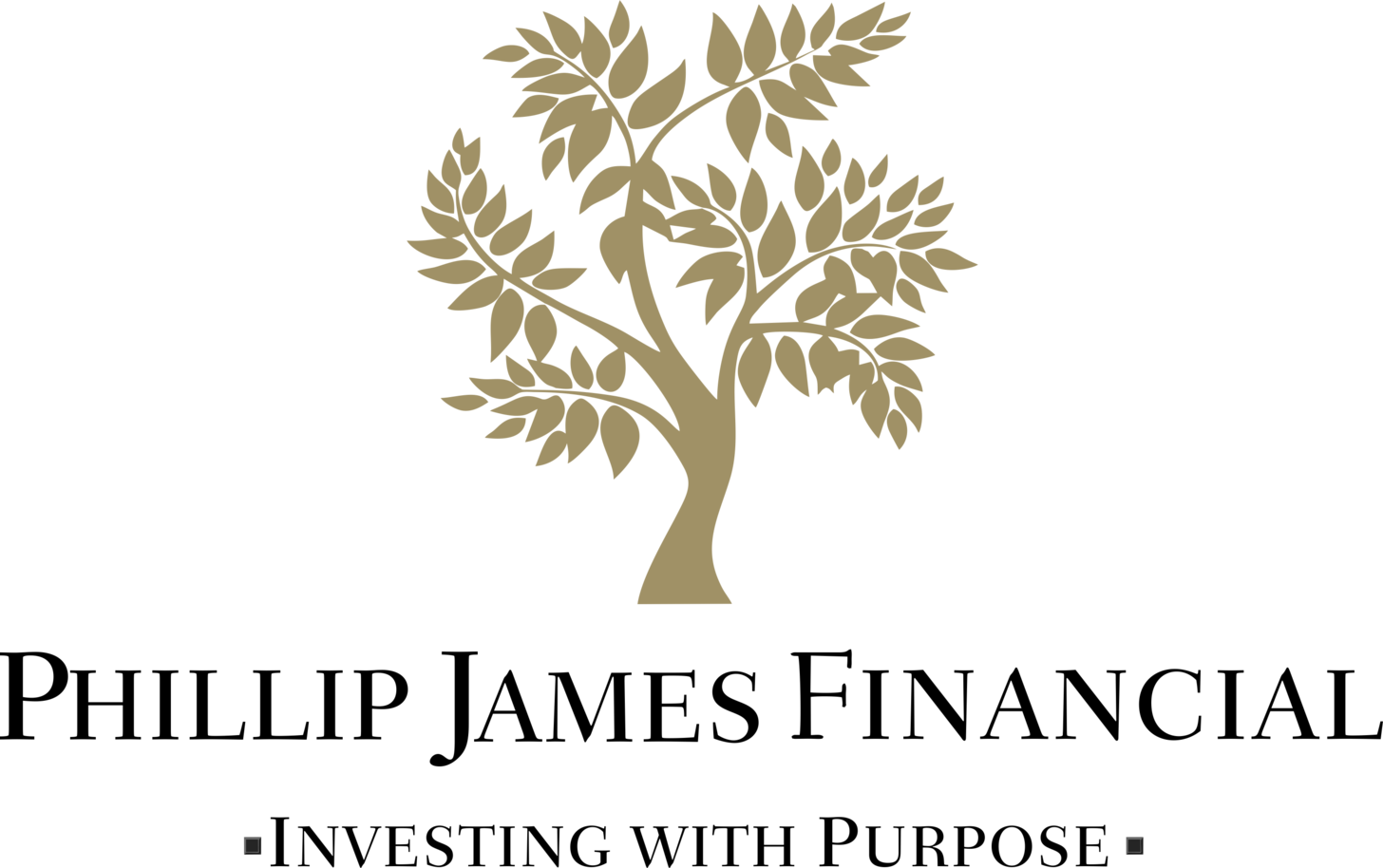 Phillip James Financial logo