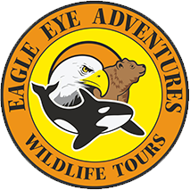 Eagle Eye Adventures logo