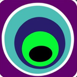 PAAVAA logo