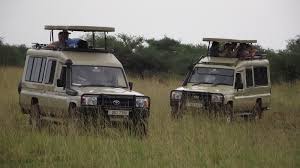 Adventure Safari Bookers logo