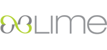 Lime Physical Therapy logo