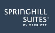 SpringHill Suites by Marriott Orlando at Flamingo Crossings/Western Entrance logo