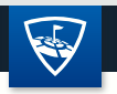 Topgolf logo