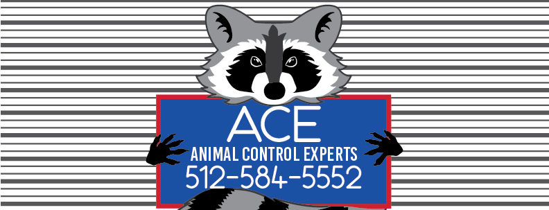 Animal Control Experts logo