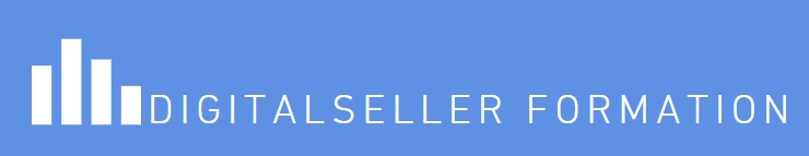 DigitalSeller logo