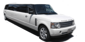 NYC Van and Limo logo