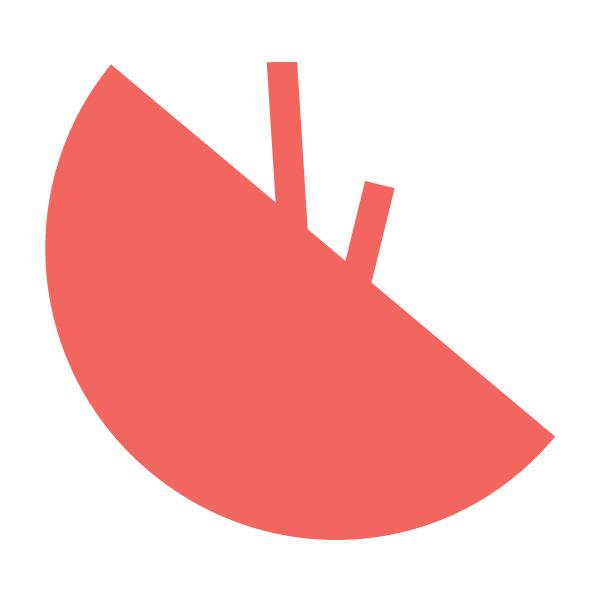 Ginsoy Extreme Chinese logo