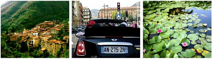 Riviera Driving Tours logo
