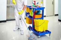Pro Cleaners Sutton logo